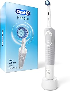 Electric toothbrush and water flosser